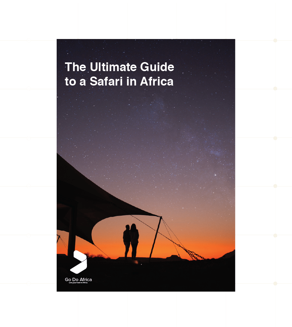 Guide to an African Safaro Guide to an African Safaro